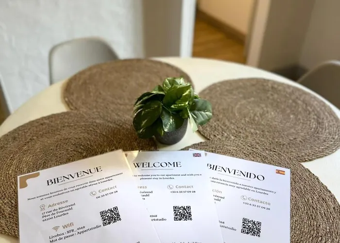 Apartment Au Coeur De Lourdes